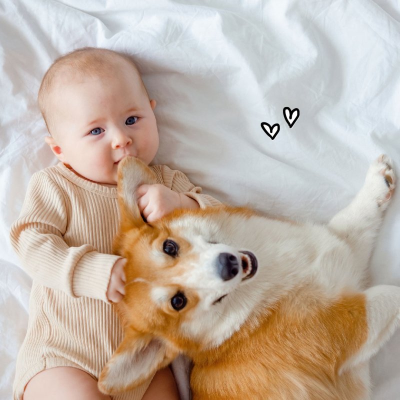 Animais de estimação estimulam o desenvolvimento de crianças. Foto: Freepik