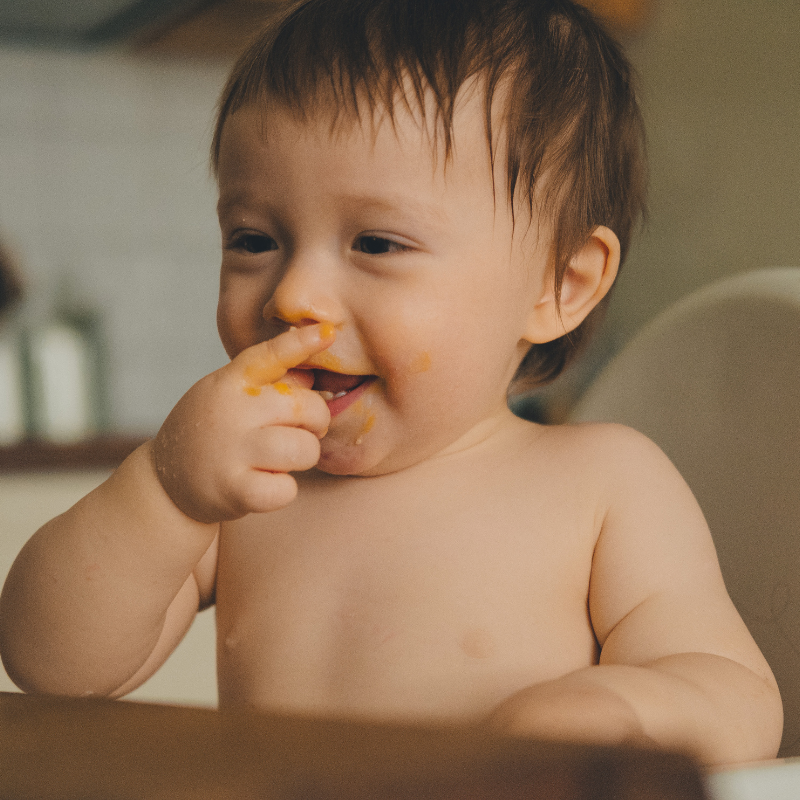 Bebê - introdução alimentar
