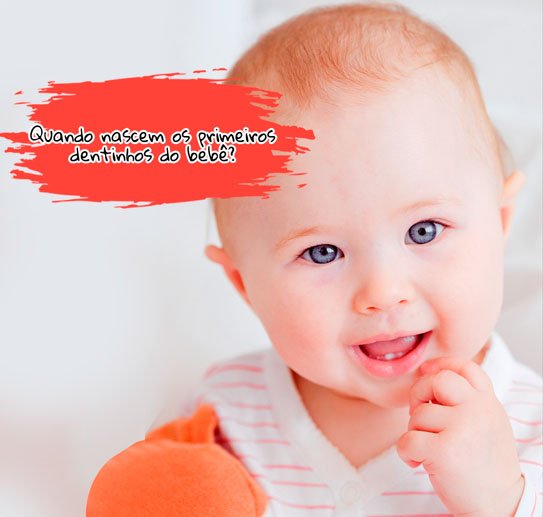 Quando nascem os primeiros dentinhos do bebê?